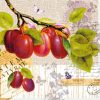 ΧΑΡΤΟΠΕΤΣΕΤΑ 33×33 BOTANY PLUM 74519 - 33x33cm - %cf%84%ce%b5%ce%bc%ce%ac%cf%87%ce%b9%ce%bf
