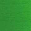 ΛΑΔΙΑ ΖΩΓΡΑΦΙΚΗΣ VAN GOGH (66 ΧΡΩΜΑΤΑ) 20ml - permanent-green-medium-614-royal-talens