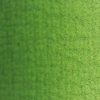 ΛΑΔΙΑ ΖΩΓΡΑΦΙΚΗΣ VAN GOGH (66 ΧΡΩΜΑΤΑ) 20ml - sap-green-623-royal-talens