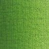 ΛΑΔΙΑ ΖΩΓΡΑΦΙΚΗΣ VAN GOGH (60 ΧΡΩΜΑΤΑ) 40ml - sap-green-623-royal-talens - 40ml