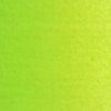 ΛΑΔΙΑ ΖΩΓΡΑΦΙΚΗΣ VAN GOGH (60 ΧΡΩΜΑΤΑ) 40ml - yellowish-green-617-royal-talens - 40ml