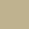 ΧΡΩΜΑ ΚΙΜΩΛΙΑΣ ΣΕ ΣΠΡΕΙ PINTY PLUS (20 ΧΡΩΜΑΤΑ) 400ml - sahara-beige-800-pinty