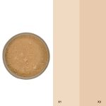 PORCELAIN CASTING POWDER PIGMENTS ΣΕ ΣΚΟΝΗ (58 ΧΡΩΜΑΤΑ) 250gr - no-13