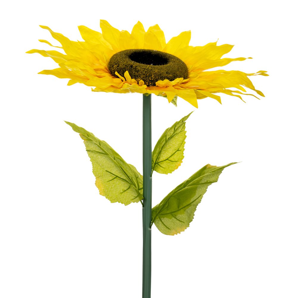 85608 ΓΙΓΑΣ ΗΛΙΑΝΘΟΣ 115ΕΚ  Φ50ΕΚ ΚΛΑΔΙ - Image 1