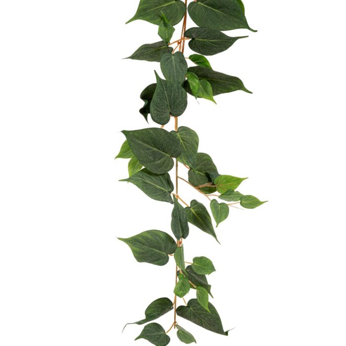 ΓΙΡΛΑΝΤΑ ΠΟΘΟΣ COATED 180ΕΚ - Image 1