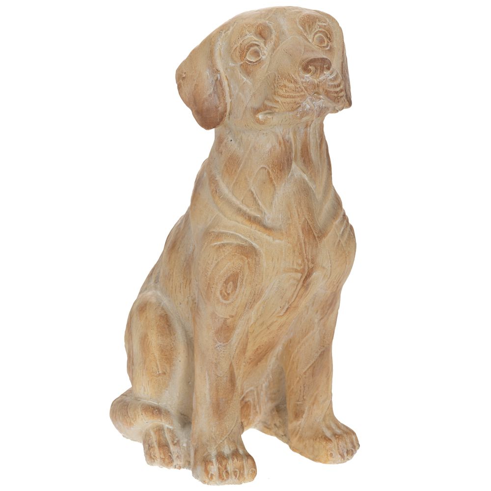 89351 ΔΙΑΚΟΣΜΗΤΙΚΟΣ ΣΚΥΛΟΣ ΑΠΌ ΠΟΛΥΡΕΖΙΝΗ 35X21X47EK - Image 1