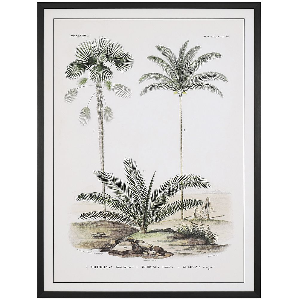 76456 ΠΙΝΑΚΑΣ 60Χ80 ΕΚ ΡΕΤΡΟ ΘΕΜΑ ΜΕ ΦΟΙΝΙΚΕΣ, ΤΥΠΩΜΑ ΣΕ ΚΑΜΒΑ - Image 1