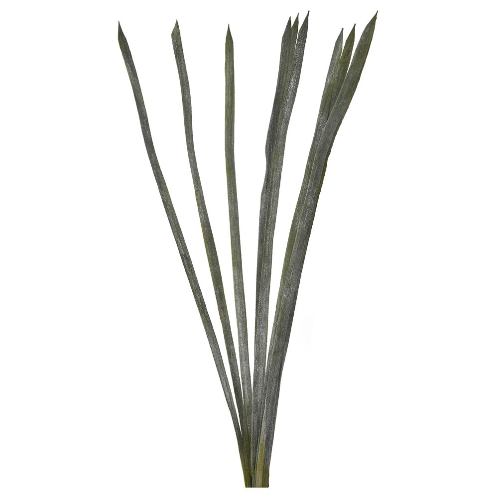 78346 ΜΑΤΣΑΚΙ ΜΑΚΡΙΑ ΠΡΑΣΙΝΑ ΦΥΛΛΑ 10 ΤΕΜ 95EK - Image 1