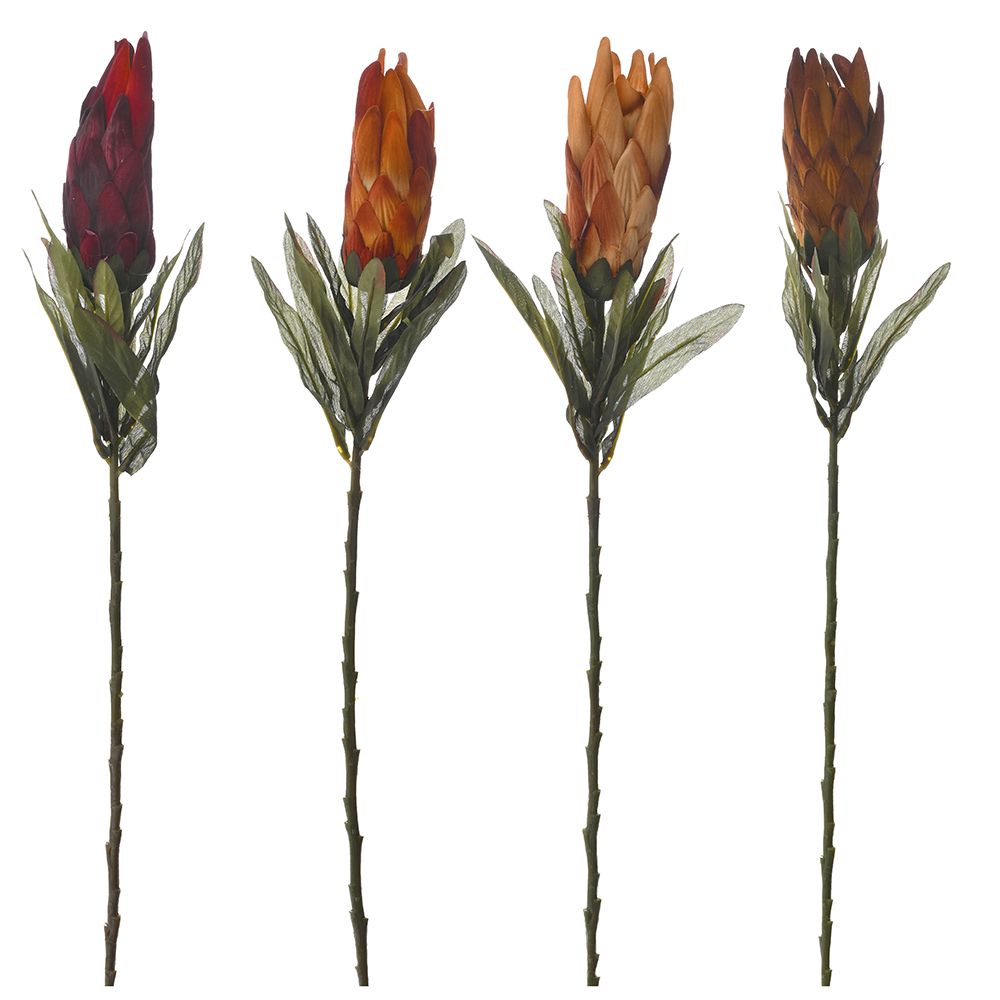 78349 ΒΕΛΟΥΔΙΝΟΣ ΠΡΩΤΕΑΣ 70ΕΚ 4 ΧΡΩΜΑΤΑ - Image 1