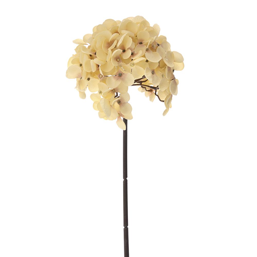 81463 ΟΡΤΑΝΣΙΑ ΚΡΕΜ ΚΛΑΔΙ 54ΕΚ - Image 1