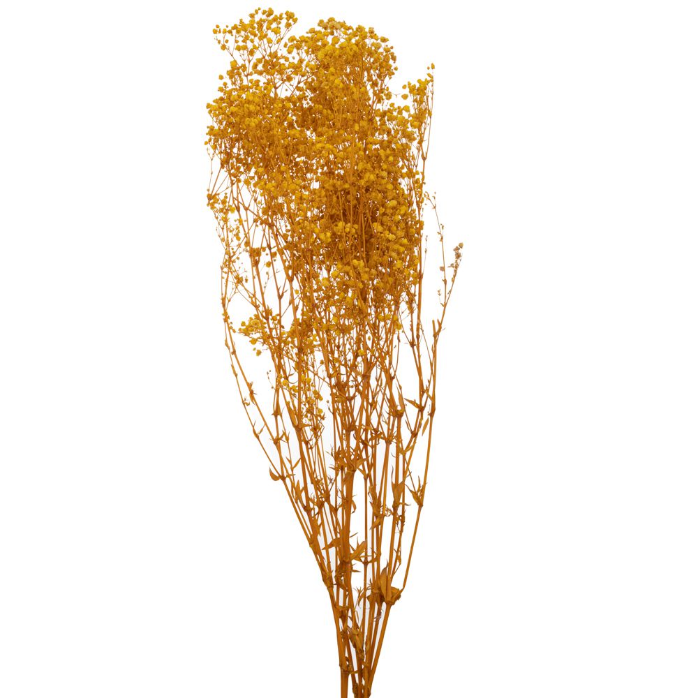 91988 ΚΙΤΡΙΝΟ ΜΠΟΥΚΕΤΟ ΓΥΨΟΦΙΛΛΗ 120gr - Image 1