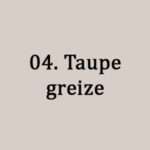 ΧΡΩΜΑ ADAMAS PRO 04 TAUPE GREIZE 750ml - Image 2