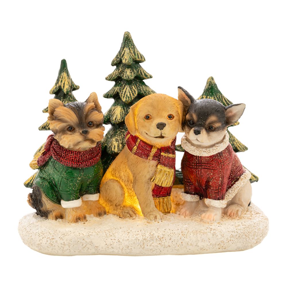 86663 ΠΟΛΥΧΡΩΜΑ ΦΩΤΙΖΟΜΕΝΑ ΠΟΛΥΡΕΖΙΝ ΚΑΘΙΣΤΑ ΣΚΥΛΑΚΙΑ 16Χ10Χ13ΕΚ - Image 1